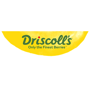 Driscoll’s