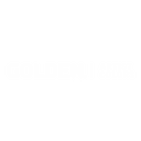 Golden Artist Colors